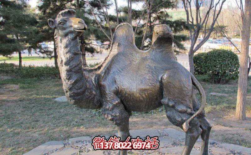 創(chuàng)意大型玻璃鋼駱駝雕塑，在草地上擺放，一眼回頭